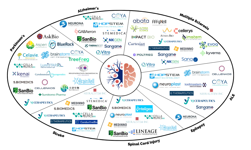 Cell Therapy Neuro - Companies by disease type (1)